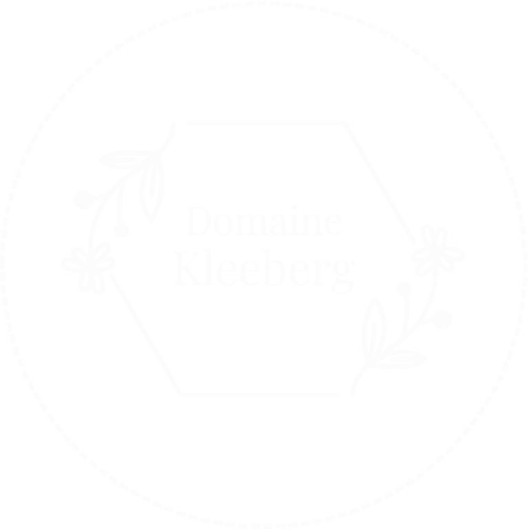 logo_blanc