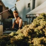 pexels helen1 30173234